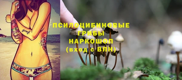 первитин Киселёвск