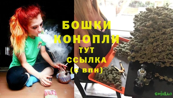 стаф Гусев