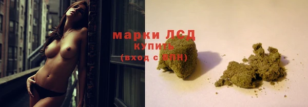 стаф Гусев