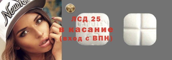 стаф Гусев