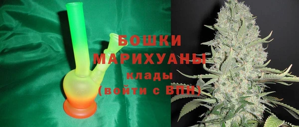 стаф Гусев